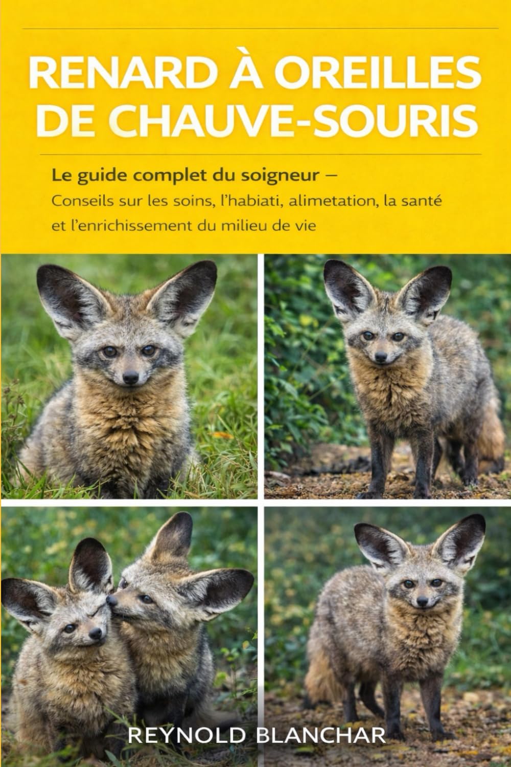 RENARD À OREILLES DE CHAUVE-SOURIS: Le guide complet du soigneur – Conseils sur les soins, l'habitat, l'alimentation, la santé et l'enrichissement du milieu de vie