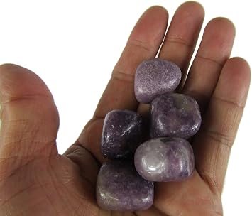 CircuitOffice 5 Piece Lepidolite Tumbled Stone 0.75" - 1" - Healing Stones, Metaphysical Healing, Chakra Stones for Wicca, Reiki, Healing, Metaphysical, Chakra, Positive Energy or Gift