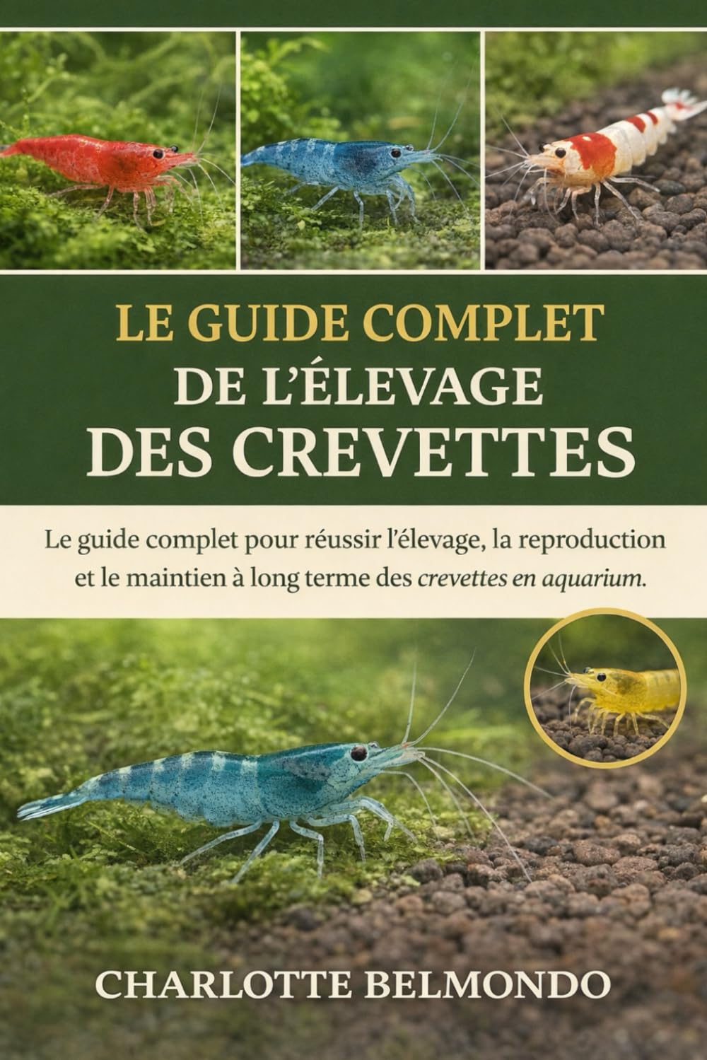 LE GUIDE COMPLET DE L'ÉLEVAGE DES CREVETTES: Le guide complet pour réussir l'élevage, la reproduction et le maintien à long terme des crevettes en aquarium.