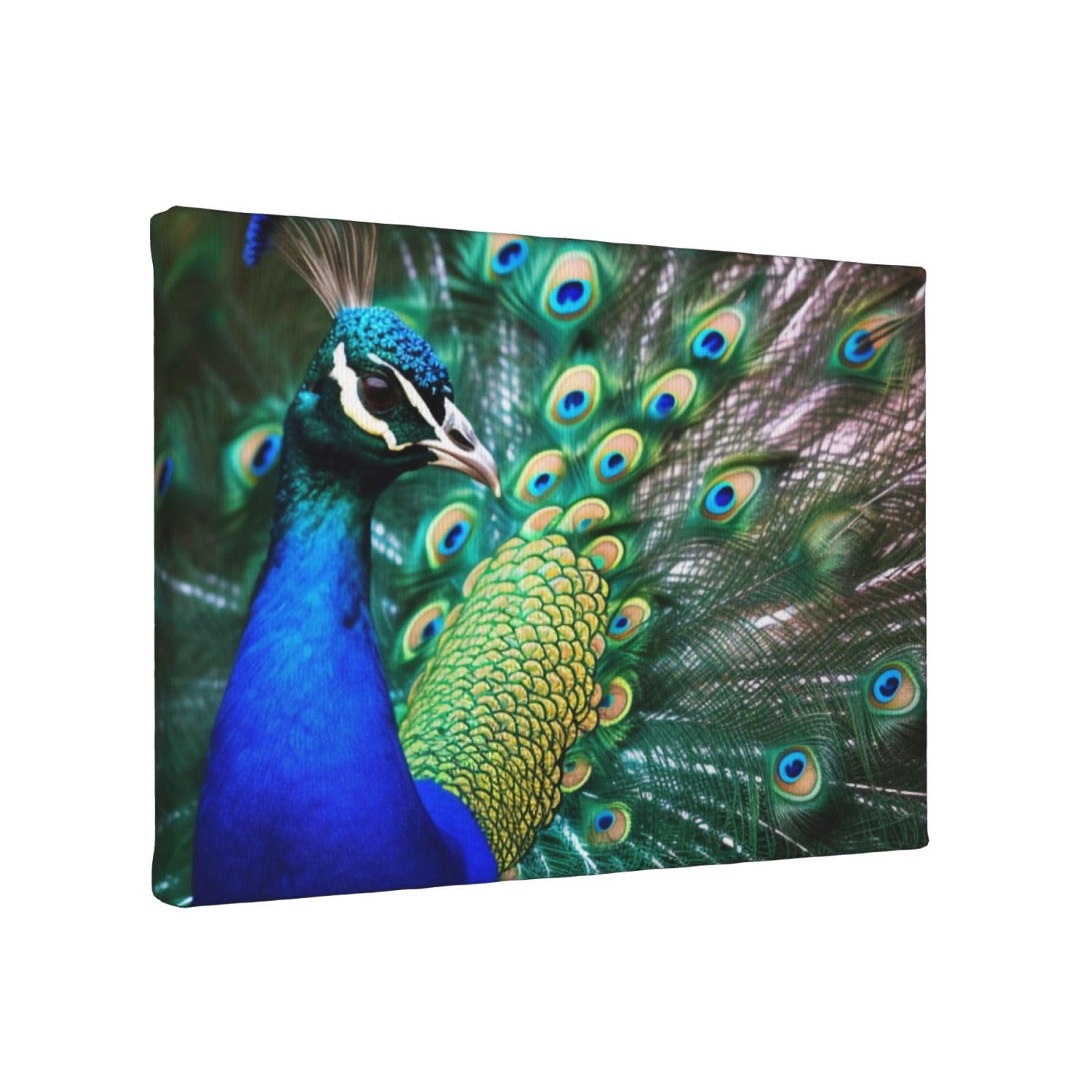 YKLJG Beautiful peacock Printed Wall Art Canvas Painting 30x20 CM Wooden Framed Picture Painting Artwork Prints for Bedroom Kitchen Home Office Decor