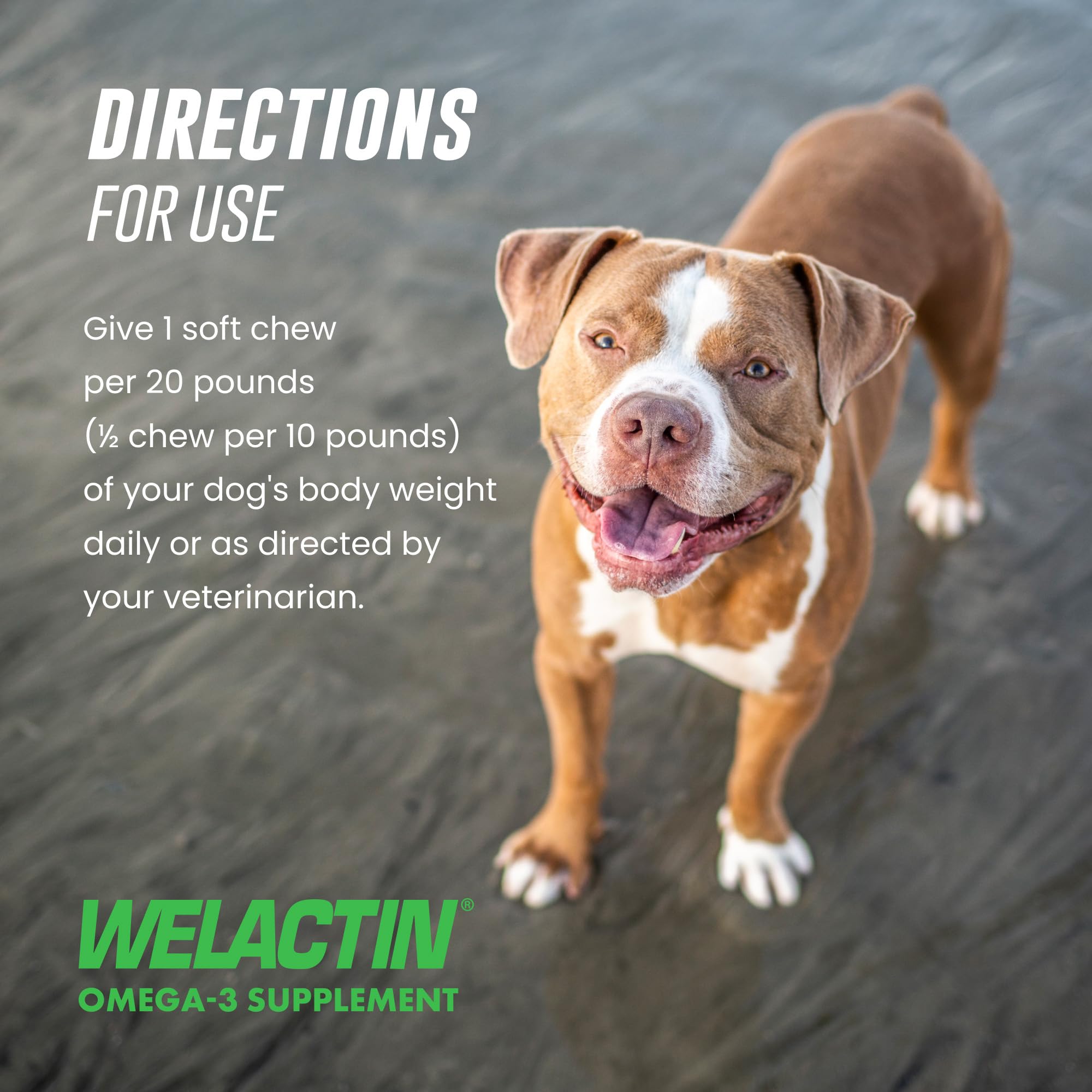 Nutramax Welactin Omega-3 Fish Oil Supplement for Dogs, Soft Chews, 60ct — Amazon image 7
