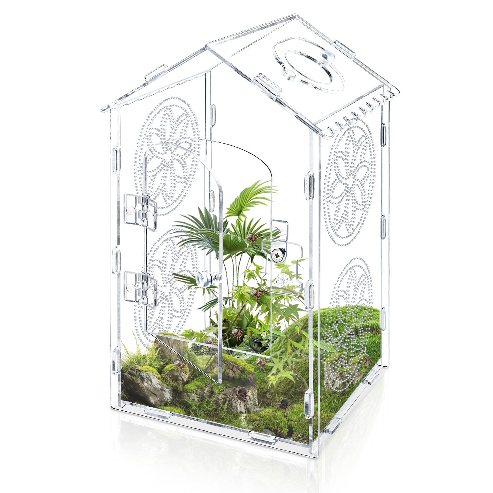 Acrylic Jumping Spider Enclosure, 11.8x6x6 Inch Roof Shaped Tarantula Enclosure
