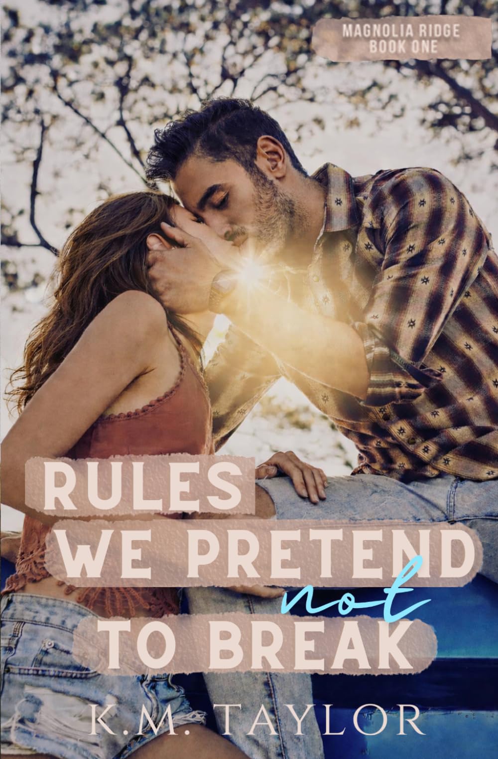 RULES WE PRETEND NOT TO BREAK: SINGLE DAD/TEACHER ROMANCE (Magnolia Ridge)