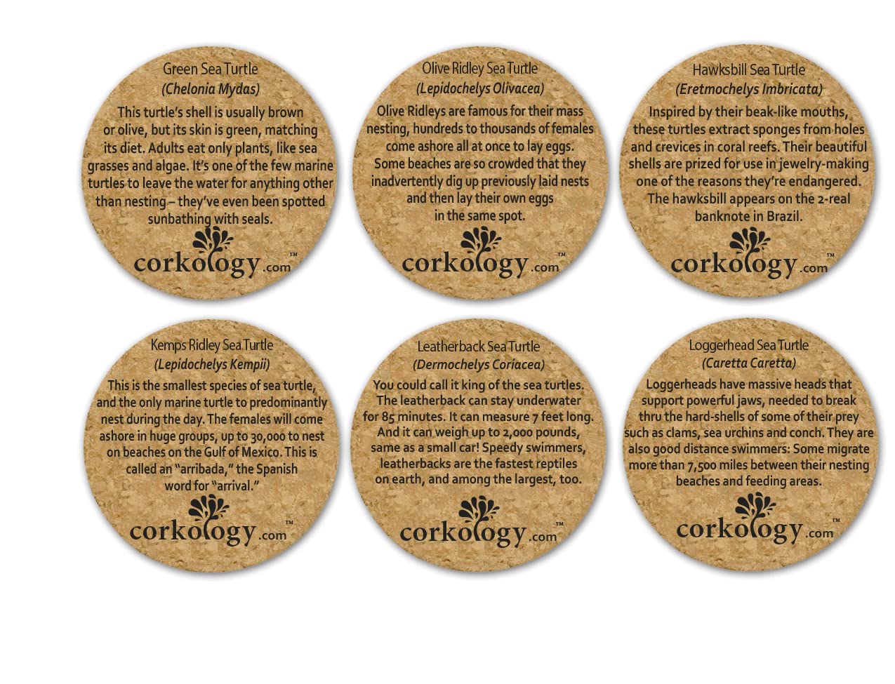 Corkology Sea Turtles Coaster Set, Cork - Image 2