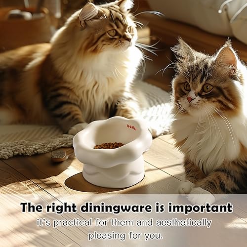 Miniatura 7 de Cuenco de cerámica en forma de nube para gatos, diseño elevado para gatos y gatitos de interior, plato inclinado antivómitos poco profundo con