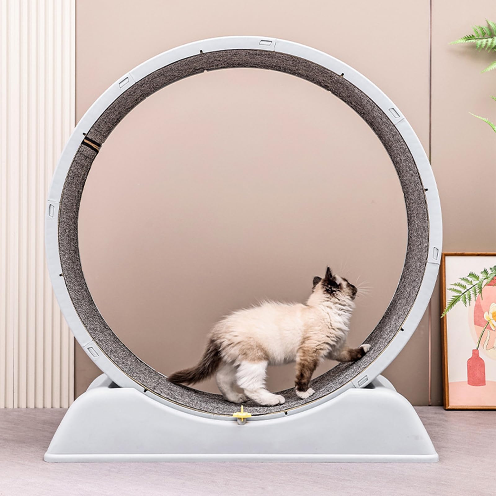 Bicicletta per gatti di grandi dimensioni, per gatti, grande Cat Running Wheel per gatti di casa, tapis roulant con meccanismo di bloccaggio, giocattolo per gatti interni, 84 x 79 x 34 cm