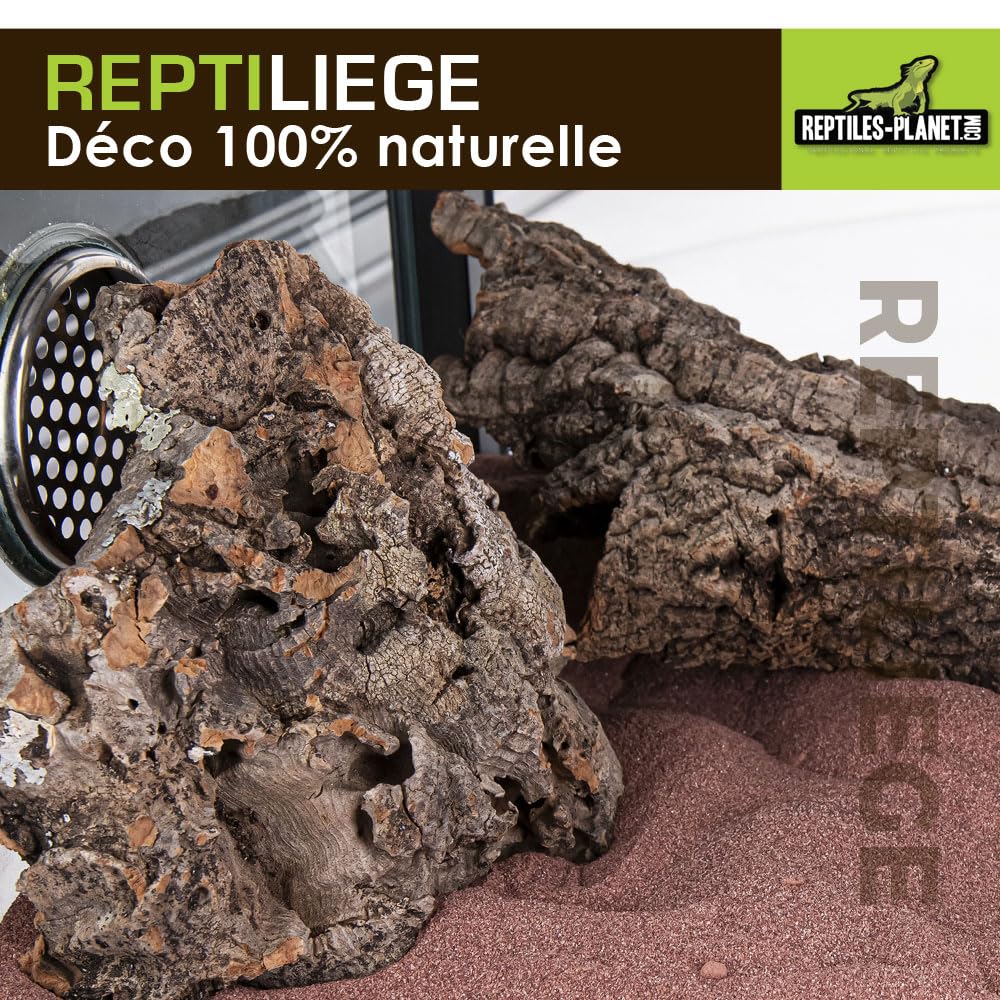 Reptiles Planet - Reptiliège - Assortiment de Liège pour Décoration de Terrarium - 10 litres