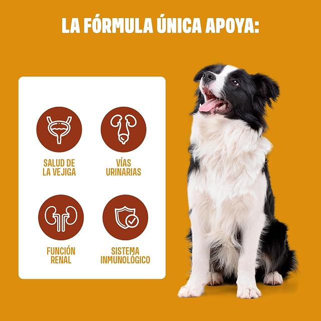 Foto 5 de 8 de ivvi Urology 60 Snacks para Salud Urinaria y Renal Perros, 270 g