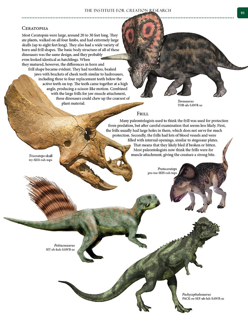 Guide to Dinosaurs - Image 8
