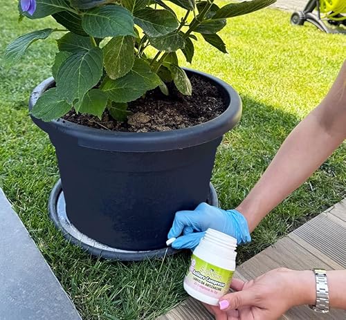 Sandokan Actilarv Larvicida in pastiglie effervescenti 100 da 2 gr (200 Trattamenti) - 5