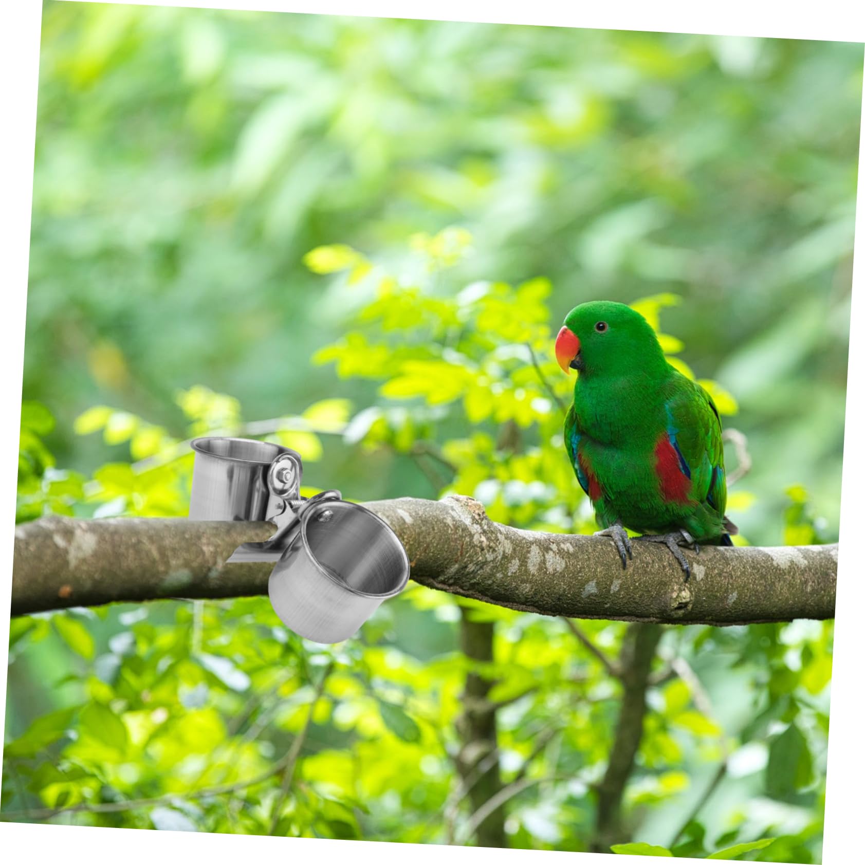 POPETPOP Pcs Clip Bird Dish Double Cups Parrot Feeder Food Water Bowl Stainless Steel Easy Hanging and Cleaning