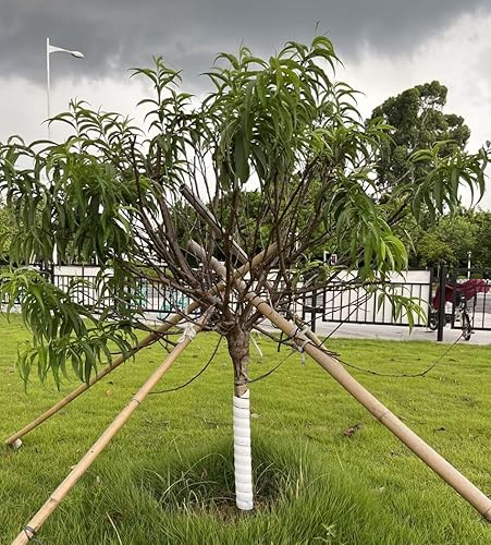 Miniatura 3 de NRAMOSS - Protector de tronco de árbol, 4 protectores de plástico para árboles de 2 tamaños, protegen el árbol de ciervos y conejos