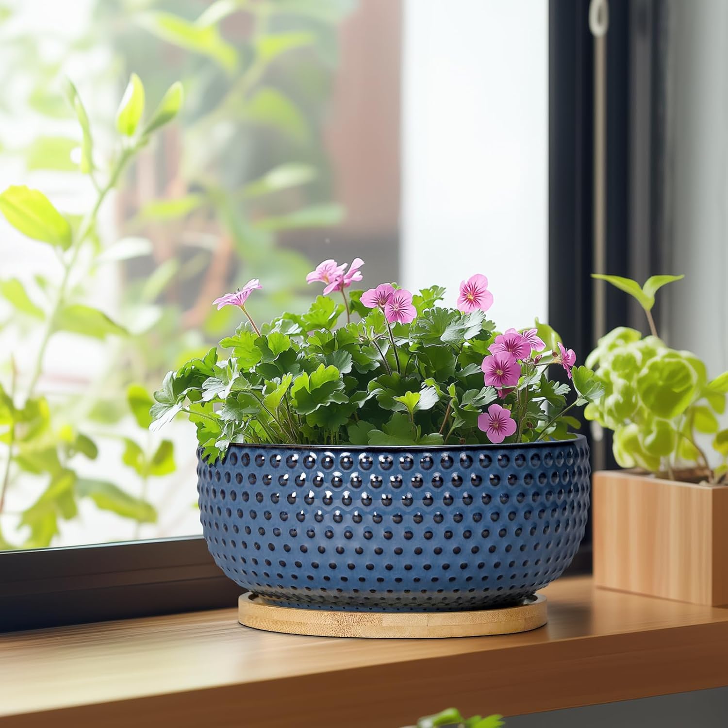 Bonsai Pots - 8 Inch Ceramic Pots for Succulent Plants & Bonsai Tree, Planter with Drainage Hole and Saucer, Modern Round Decorative Flower Planters, House Decor, Gifts for Women Man, Blue