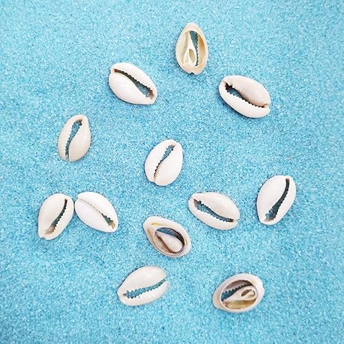 Miniatura 3 de INSPIRELLE Cuentas de concha de cauri en espiral natural de 0.5 libras (160  220 piezas), conectores de conchas marinas para playa, conchas marinas,