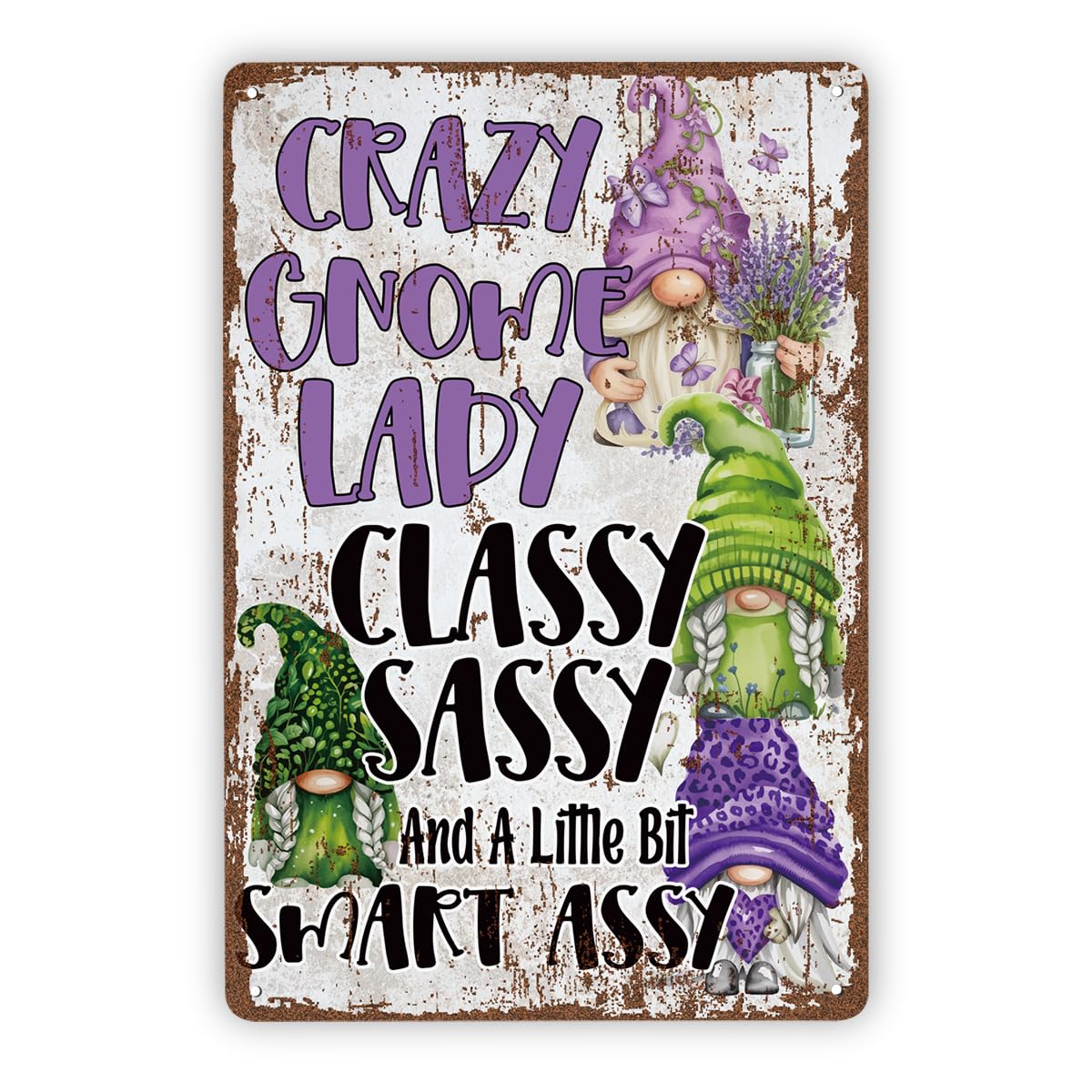 Crazy Gnome Lady Funny Gnome Tin Sign, 11.8x7.9in Gift