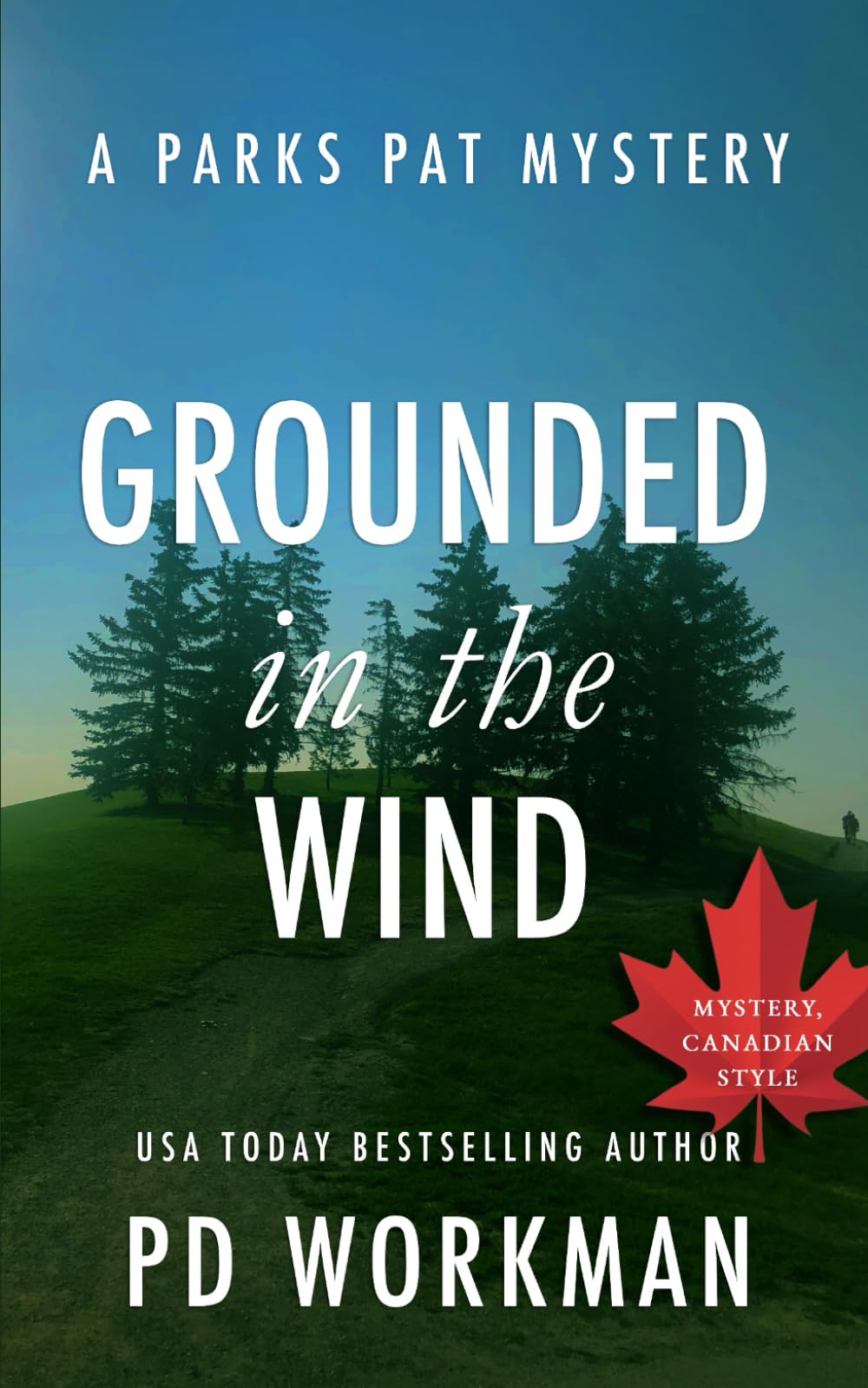 Buy Grounded in the Wind: A quick-read police procedural set in picturesque Canada โ BookShops.in