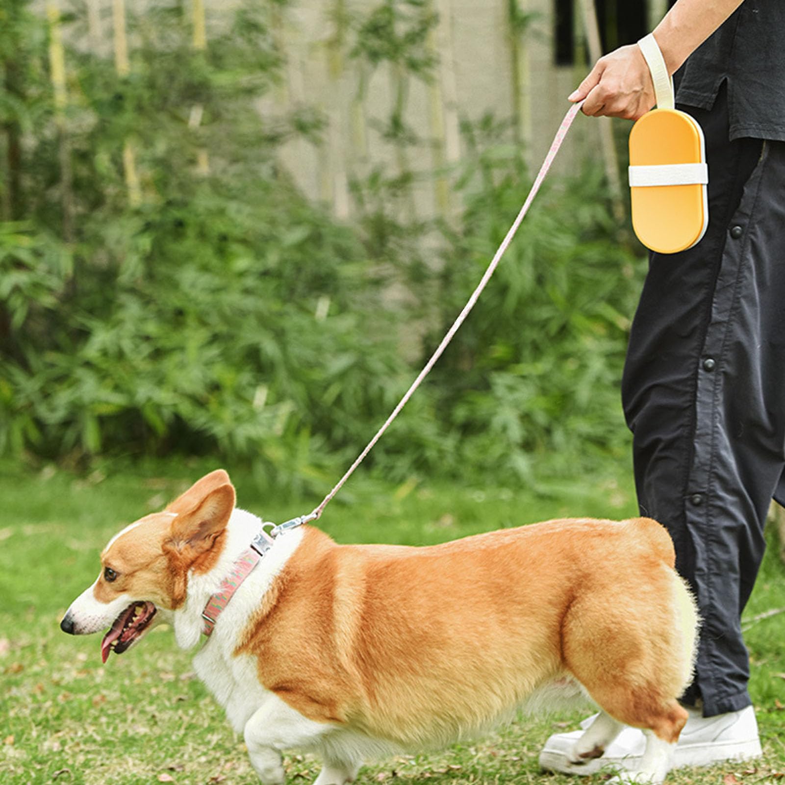 Borraccia per cani, bottiglia d'acqua pieghevole per cani, a prova di perdite, portatile, con mangiatoia per animali domestici, passeggiate all'aperto, escursioni, viaggi, plastica per uso alimentare