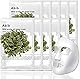 Abib 弱酸性pHシートマスク 復活草フィット30ml 10枚入り アビブ 韓国コスメ スキンケア マスク パック 敏感肌 保湿 しっとり 高保湿 栄養 再生