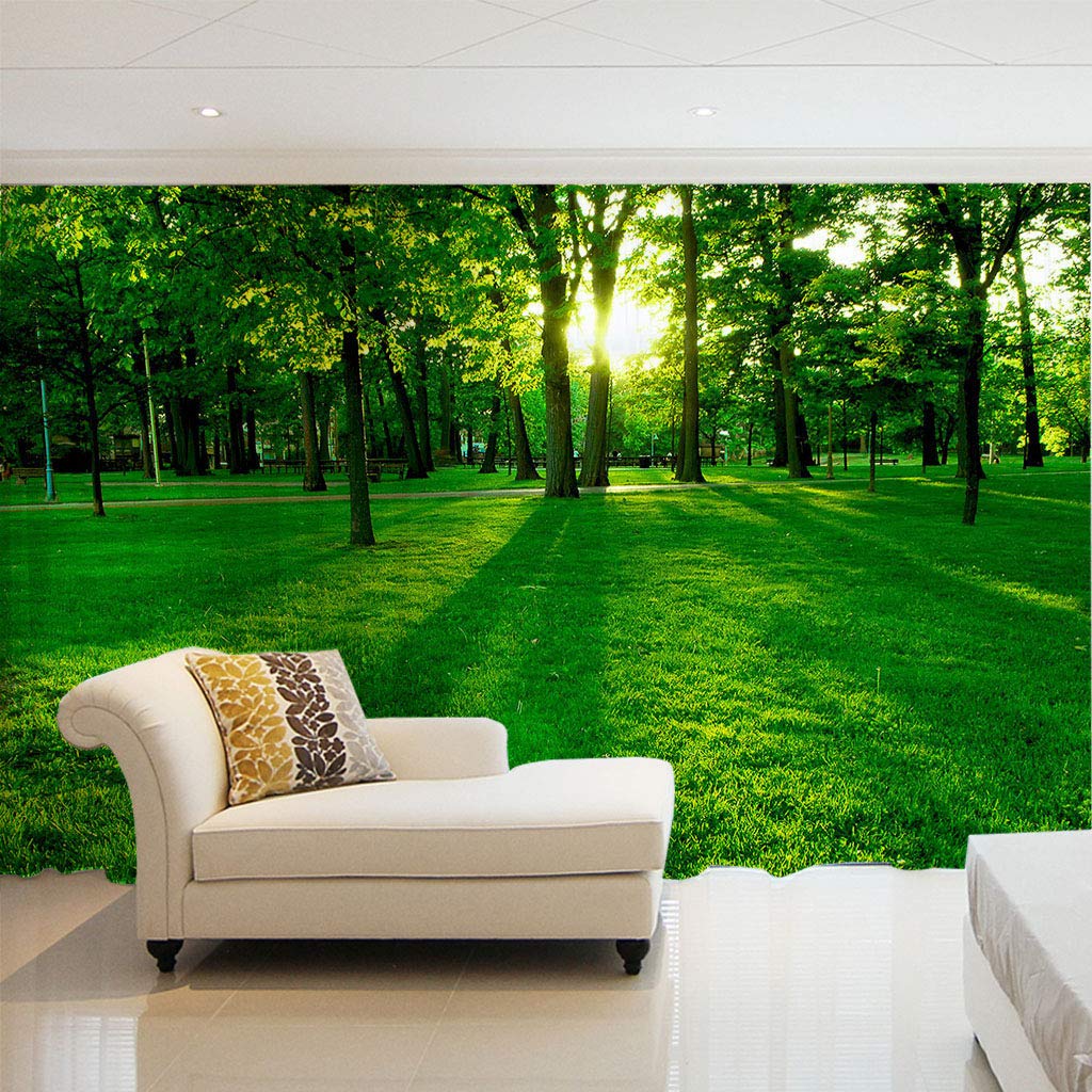 Voile de fenêtre transparent anti vis-à-vis pour grand salon lumineux