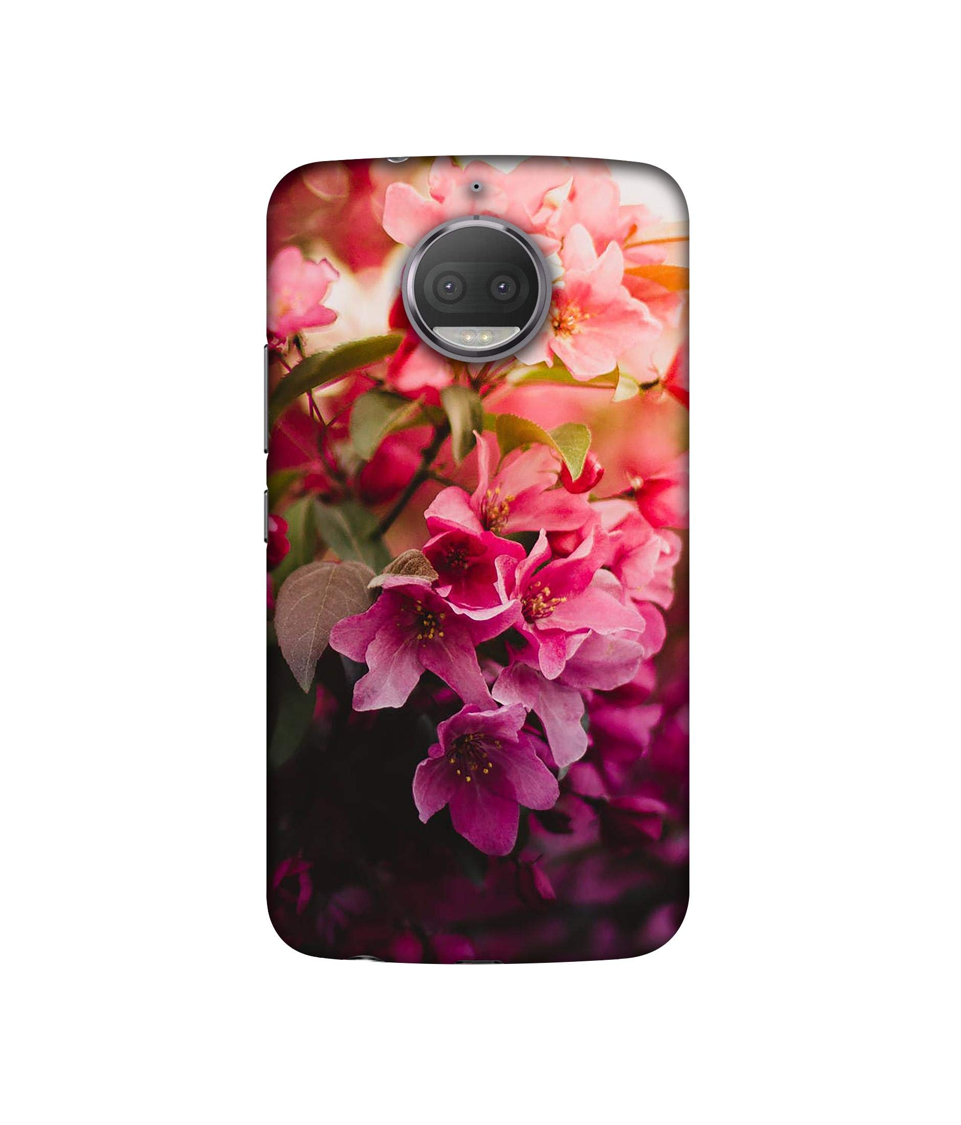 Amazon Brand - Solimo Silicone Designer Blossom Weather Uv Printed Soft Back Case Mobile Cover for Motorola Moto G5S Plus, Multi-Coloured (B08569BCKS) Amazon Price History, Amazon Price Tracker