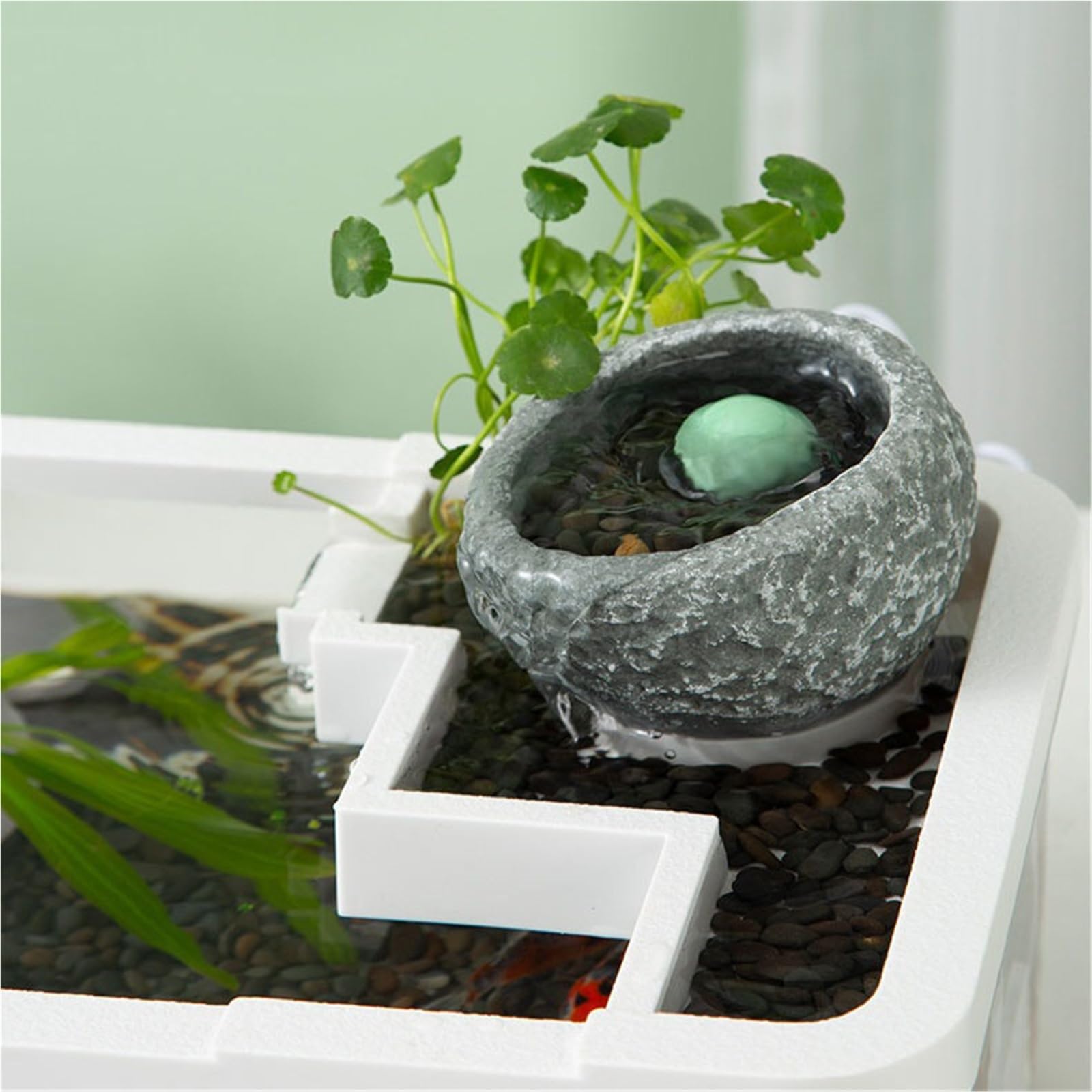 Siedlisko terrarium Pulpit Krajobraz Ekologiczna miska do karmienia czarnego żółwia Terrarium akwariowe