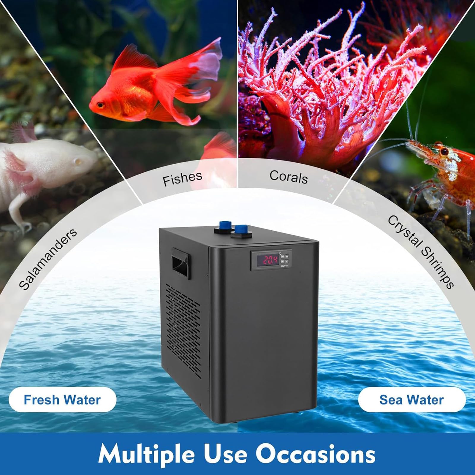 Enfriador de Acuario de 160L/300L/500L, Enfriador de Agua para Pecera de 1/10 Hp, 1/3 Hp, 1/2 Hp con Compresor de Diseño Silencioso, Refrigeración para Medusas y Arrecifes de Coral,160L/42gal