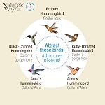 Nature's Way Hanging Glass Hummingbird Feeder for Outdoor Decor, 22 Ounce Capacity Nectar Feeder, 4 Easy to Clean Flexible Ports, Red