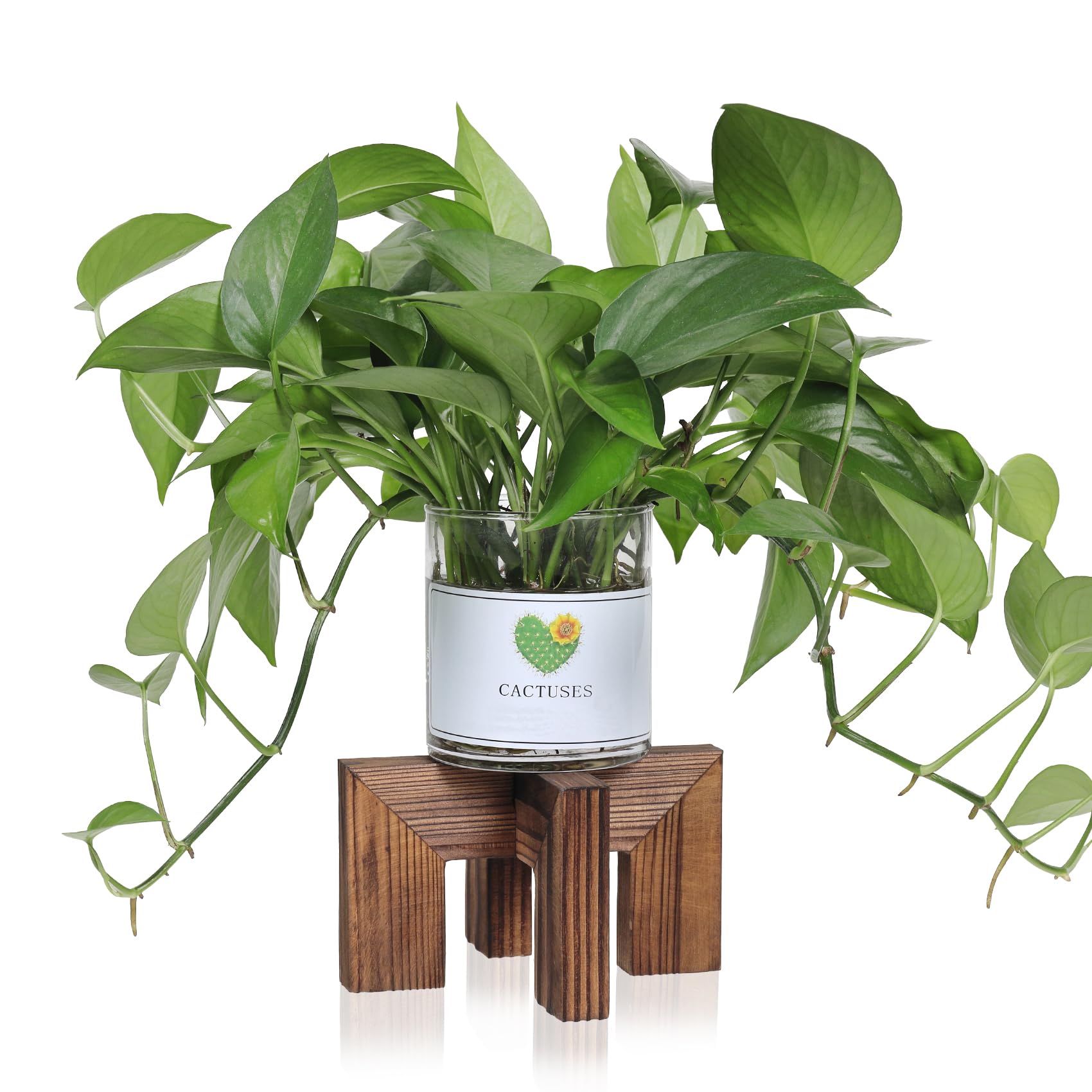 Vigordream Pflanzenständer, für drinnen und draußen, Holz-Pflanzenhalter, einzelner Blumentopfständer, stabiler Pflanzgefäßständer (Walnuss, passend für 6,3–15,2 cm große Töpfe)
