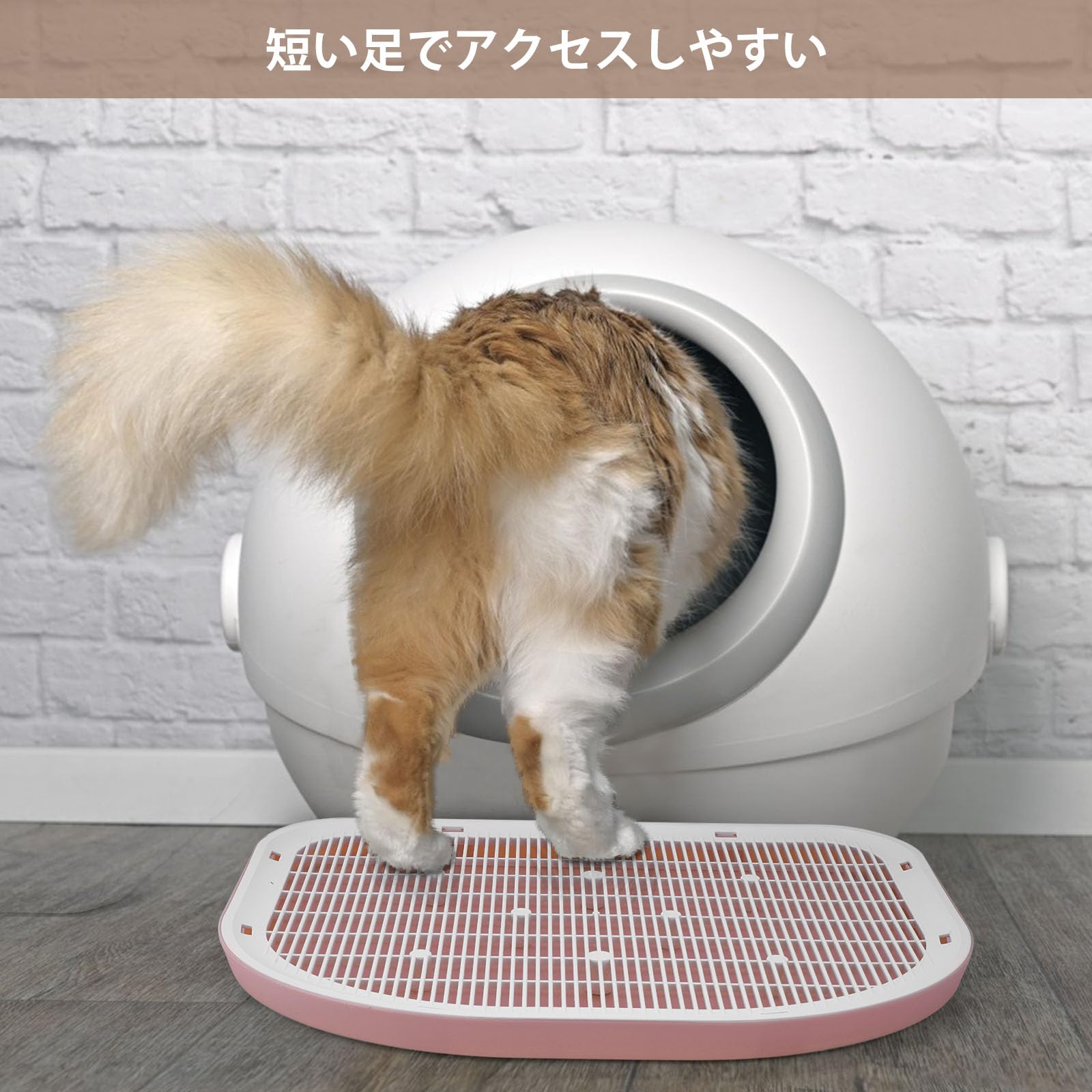 Amazon.co.jp: 猫トイレステップ ネコトイレ専用ステップ 砂の飛び散り 