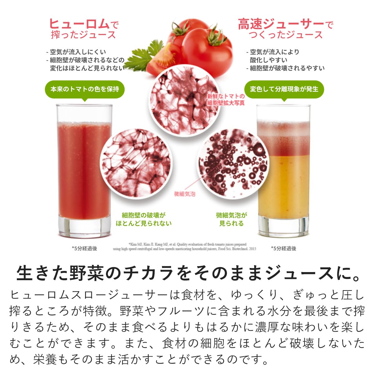 Amazon.co.jp: ヒューロム スロージューサー H-AA-WBA17 (パール 