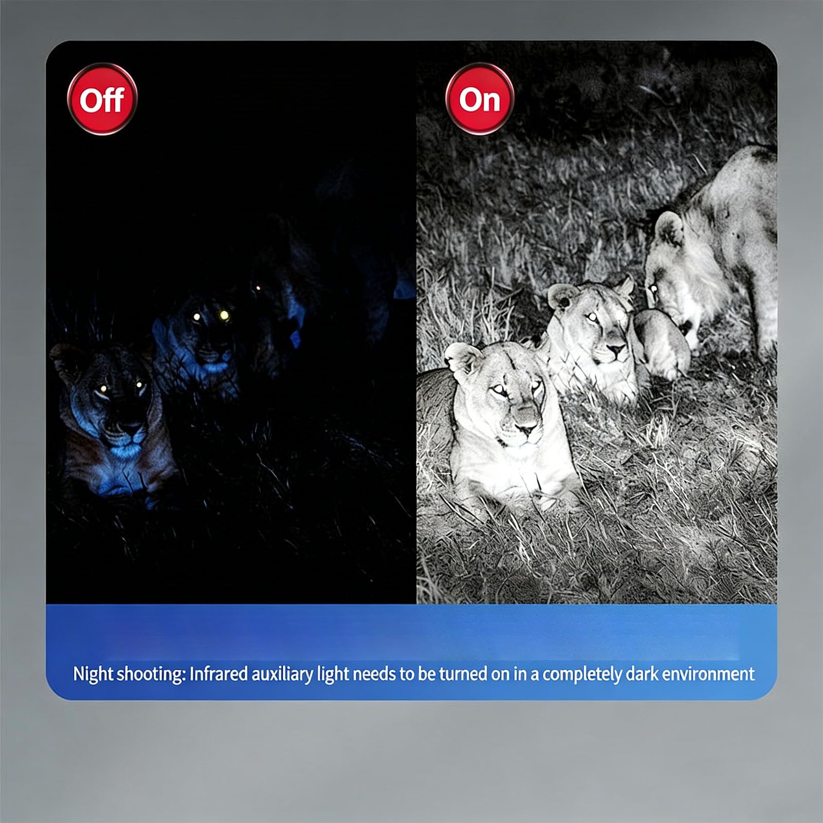 Telescopio Monoculare Digitale con Zoom 16X, HD 1080P, 12MP, Batteria Ricaricabile per Osservazione Fauna Selvatica e Campeggio