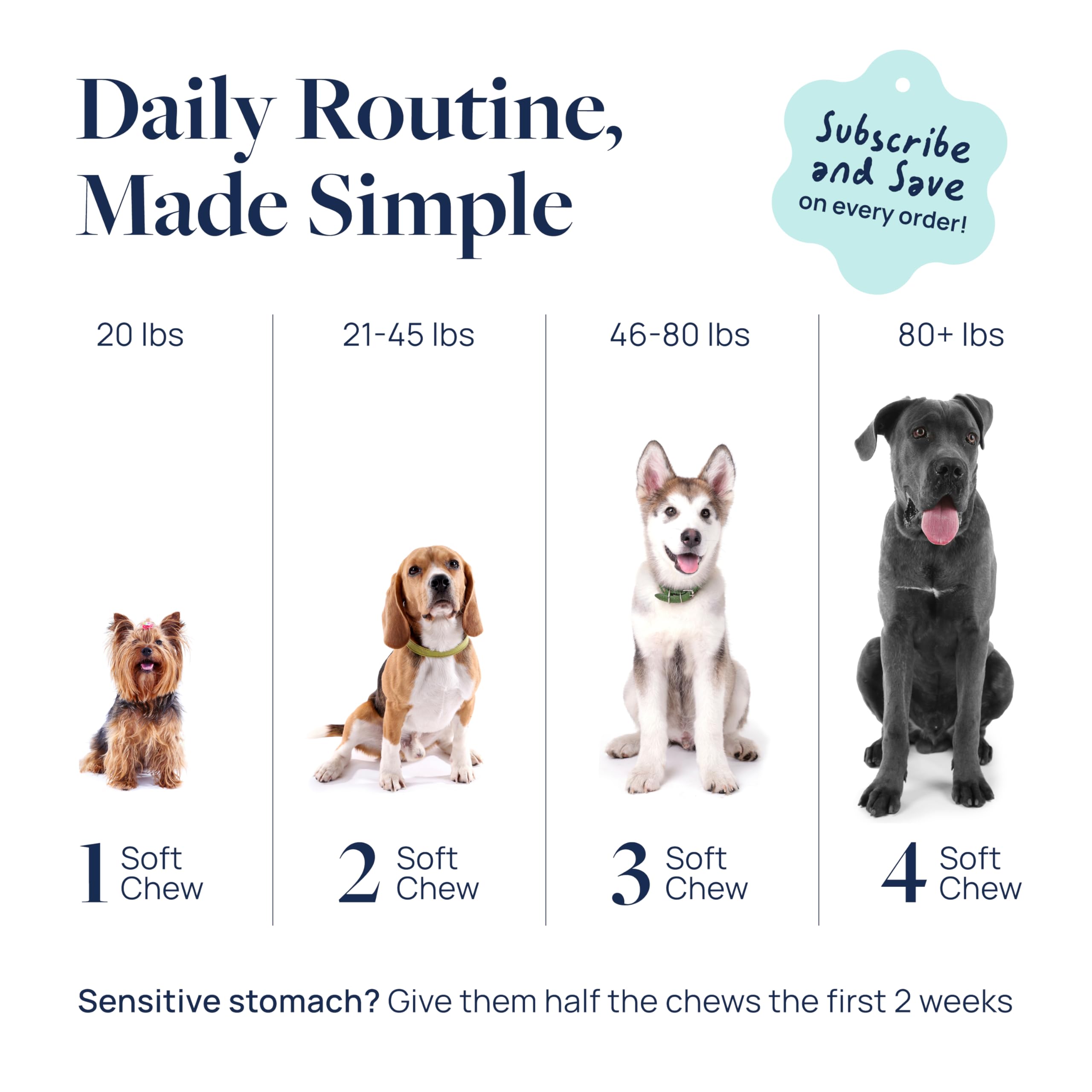 Veterinary Formula Gut Health Supplement for Dogs – Vet-Formulated Probiotic Chews with Digestive Enzymes & Fiber – Smart Vitality Supports Digestive Health, Gut Balance & Stool Quality, 60 Soft Chews - image 8