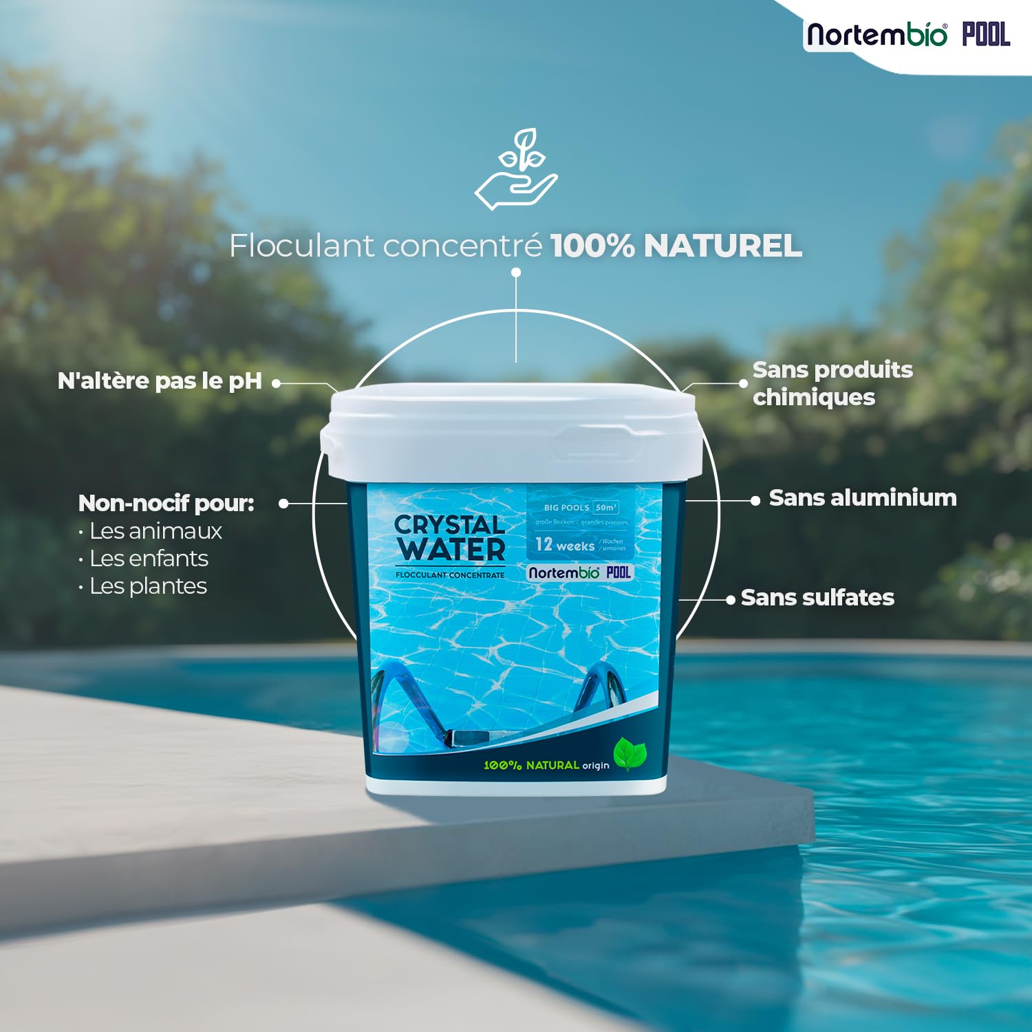Nortembio Floculant Naturel Grandes Piscines et Spa Clarificateur Professionnel pour Eau Trouble et Eau Cristalline Traitement Haute Performance + eBook Offert avec Conseils d’Experts (24 Semaines)