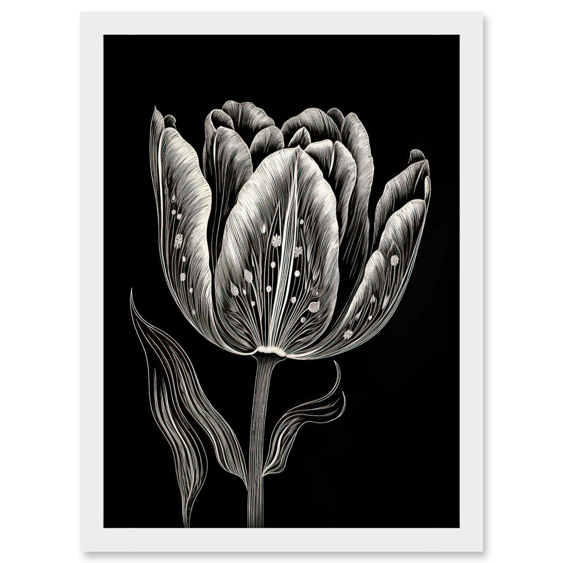 Artery8 Tulip Flower White on Black Blind Contour Folk Art Artwork Framed A3 Wall Art Print