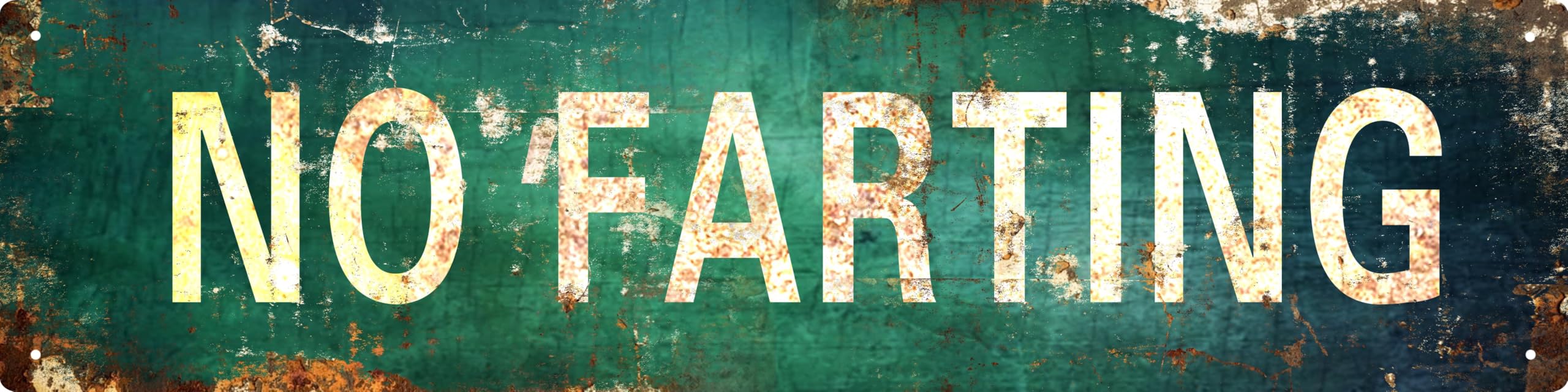 AWISZZZ Vintage Metal Tin Sign Retro No Farting Signs Stylish Wall Art Plaques for Home Decor Bathroom Kitchen House and Gothic Wall Decor or as a