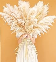 Bannifll 46" Tall Pampas Grass 10 Stems Beige - Natural Dried Pompas Grass for Boho Farmhouse Wedding Home Decor