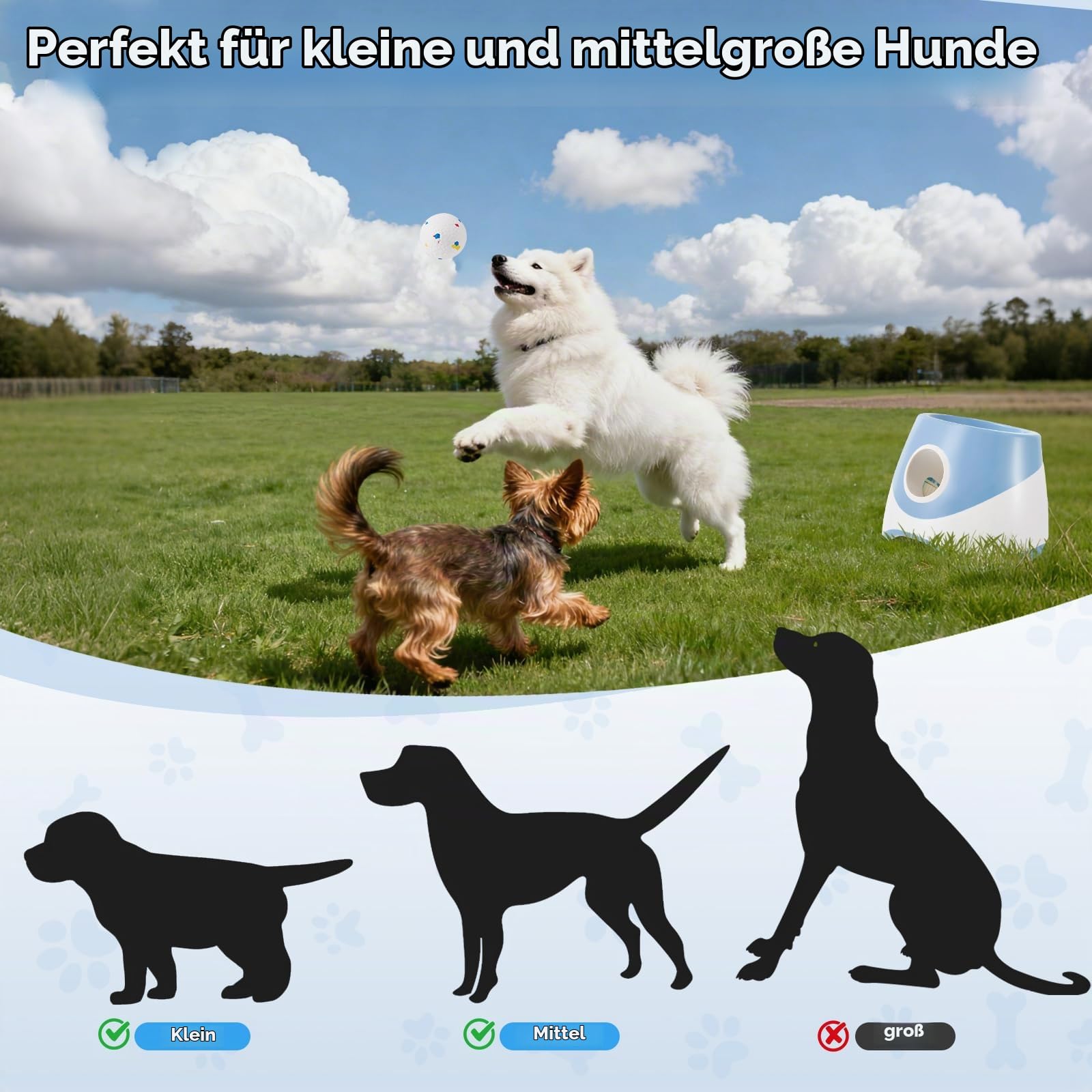 Ballwurfmaschine für Hunde,Mit 6 Tennisbälle,3 Distanzstufen