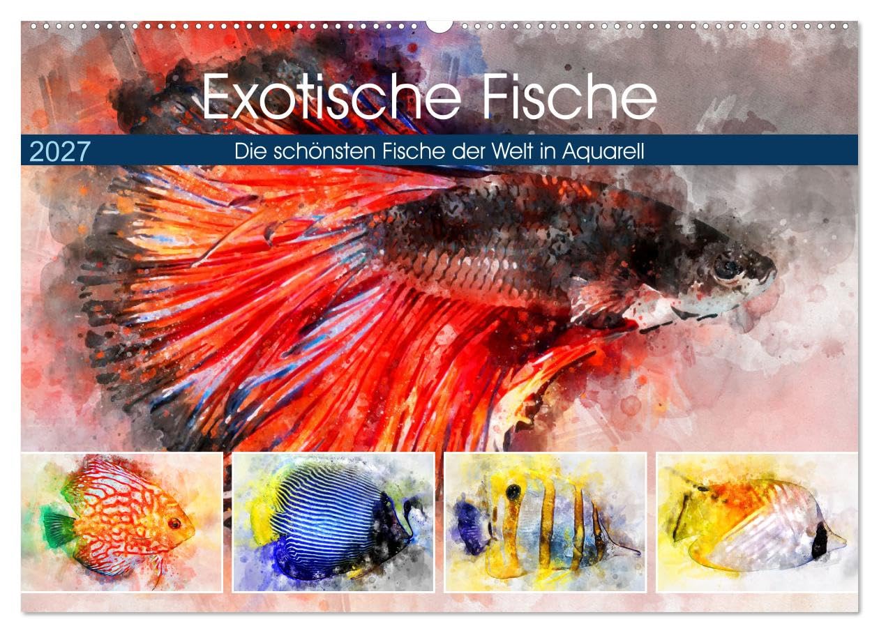 Exotische Fische - Die schönsten Fische der Welt in Aquarell (Wandkalender 2027 DIN A2 quer), CALVENDO Monatskalender: Farbenprächtige Fische im Süß- und Salzwasser