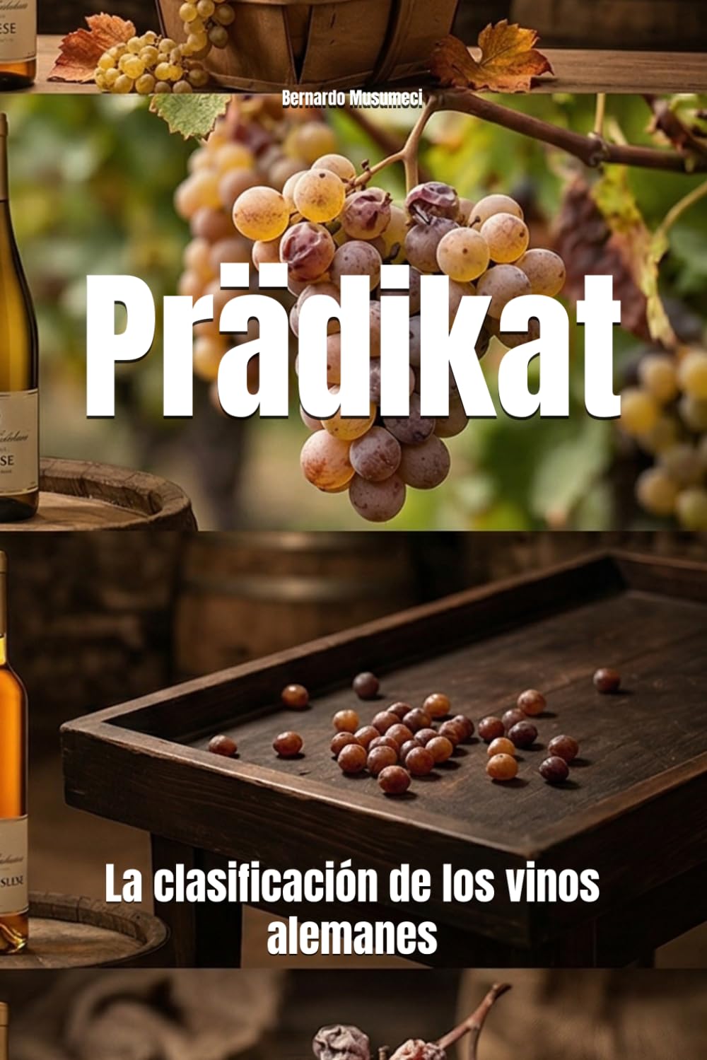 Prädikat: La clasificación de los vinos alemanes (Wines of the World: Germany)