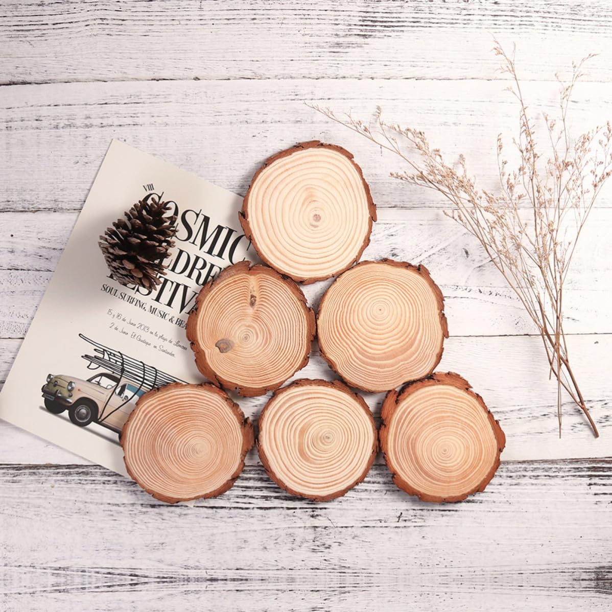 12 Piezas Rodajas de Madera Natural Redondas para Manualidades