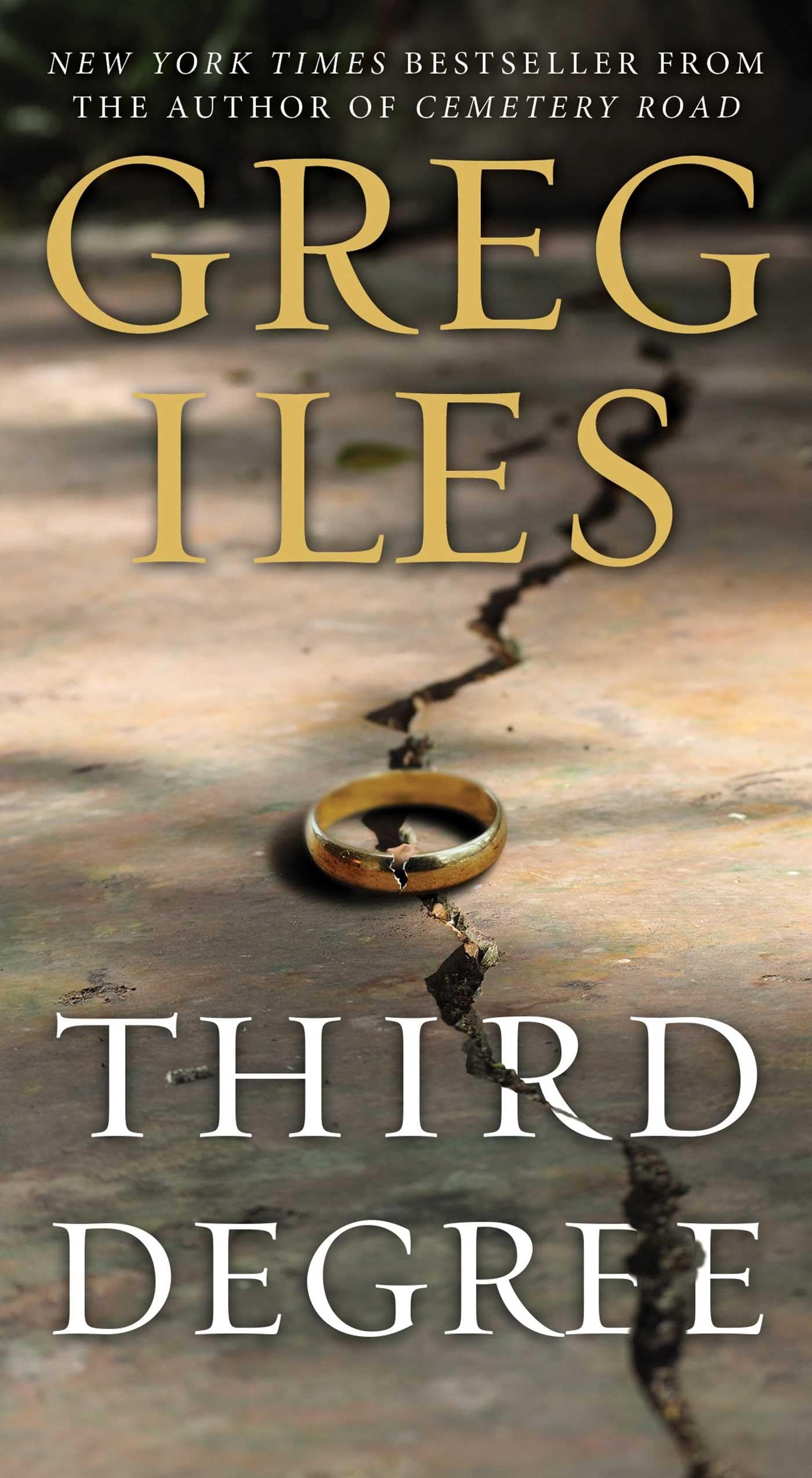 Third Degree A Novel 9781982132262 Iles, Greg Books