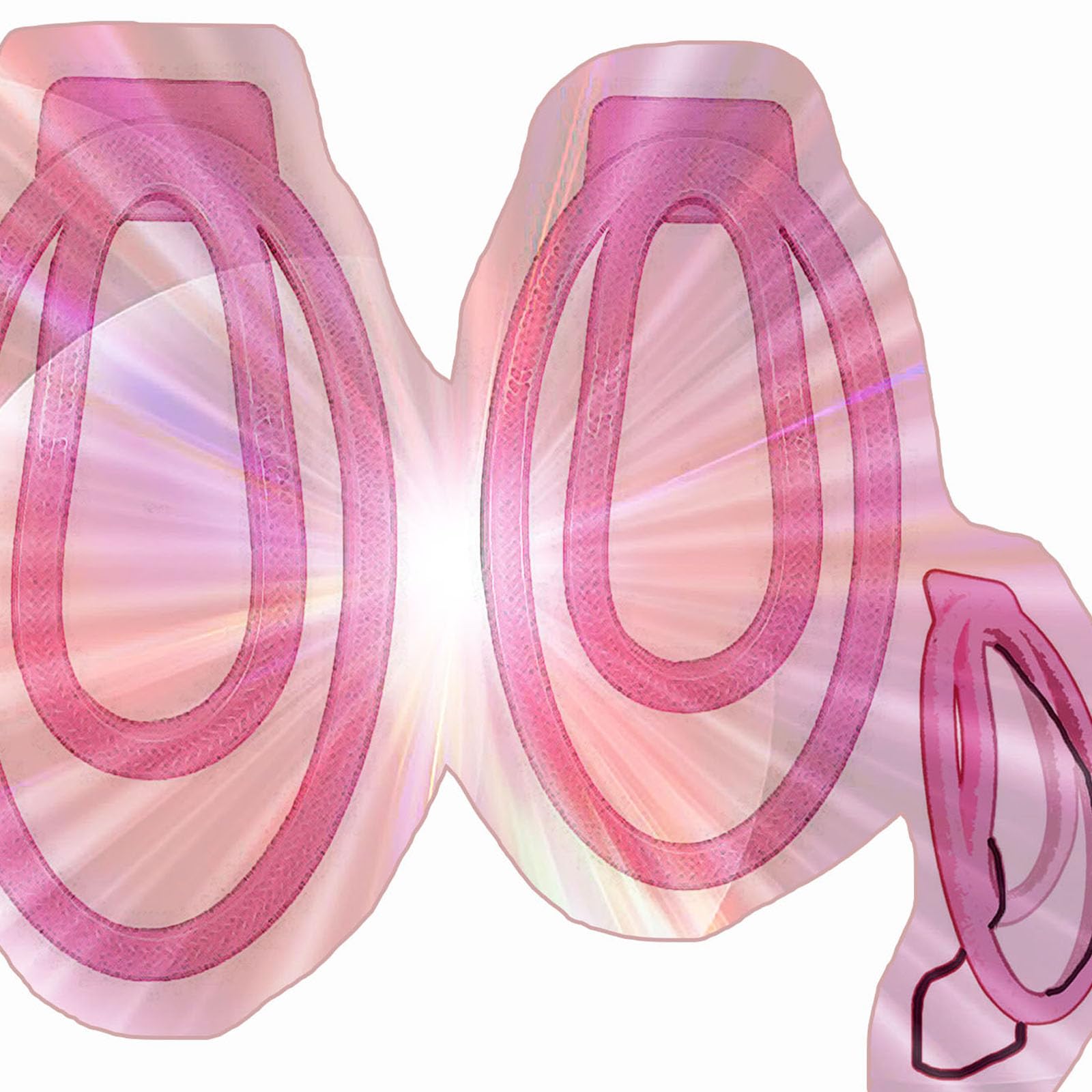 2 Sizes Male Lightweight Protection Clips, Protection Cage Accessories Set for Men -HA2402 (Pink:B05)