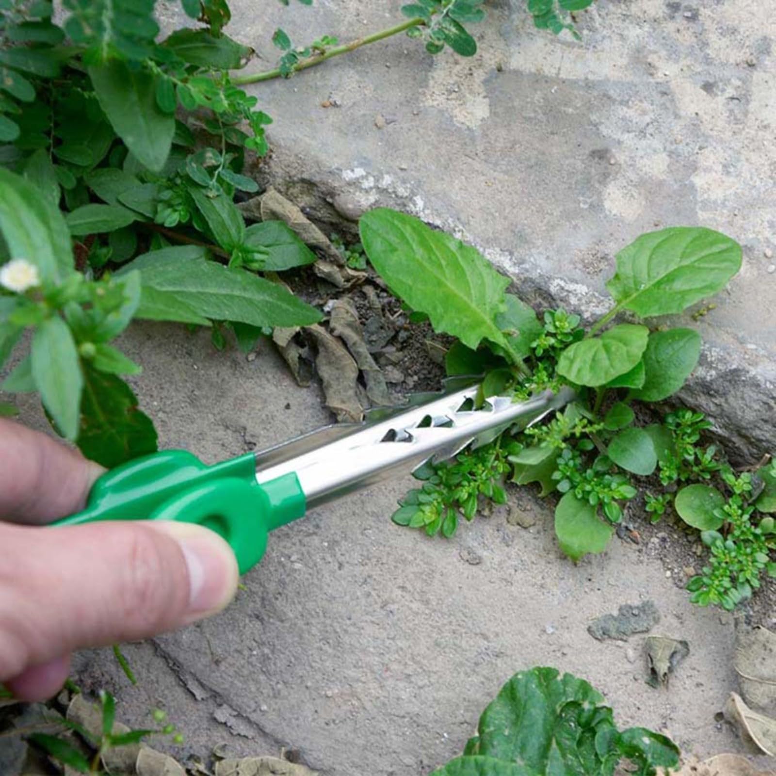 Pinzette per la cura delle piante grasse Clip portatile in acciaio inossidabile Strumento di giardinaggio multifunzionale per la manipolazione delle piante Lavoro accurato Uso educativo