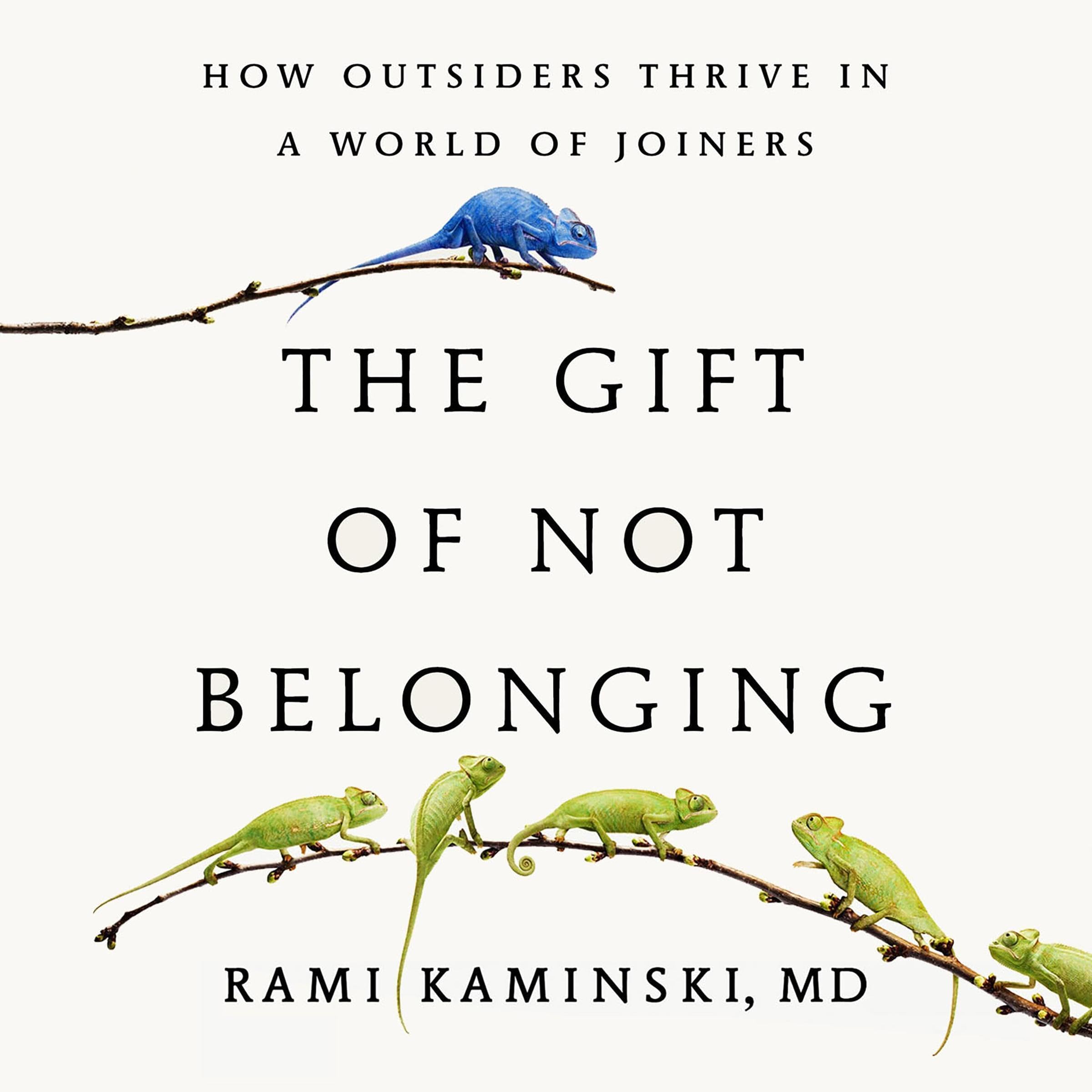 Cover art for The Gift of Not Belonging