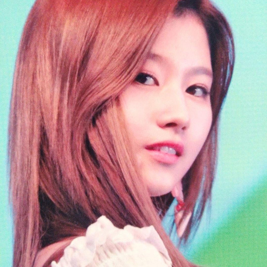 Amazon.co.jp: サナ直筆サイン入り2Lサイズ写真…SANA…TWICE…14 : おもちゃ 