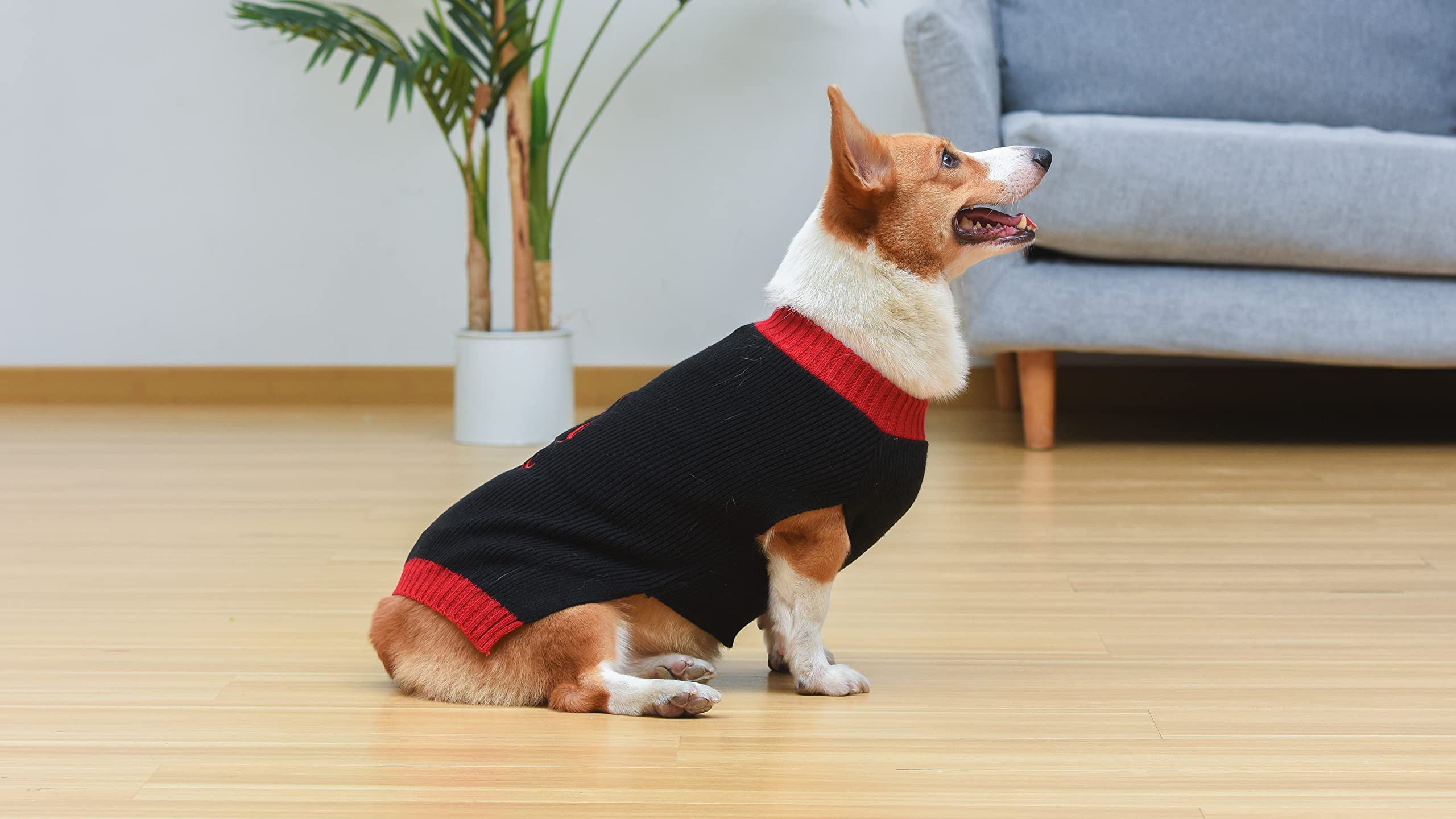 STAR WARS Maglione per cani Darth Vader, S (S) | Maglione per cani di Darth Vader | Abbigliamento per animali domestici, maglione per cani | Regalo per i fan di Star Wars e regali di Darth Vader, nero