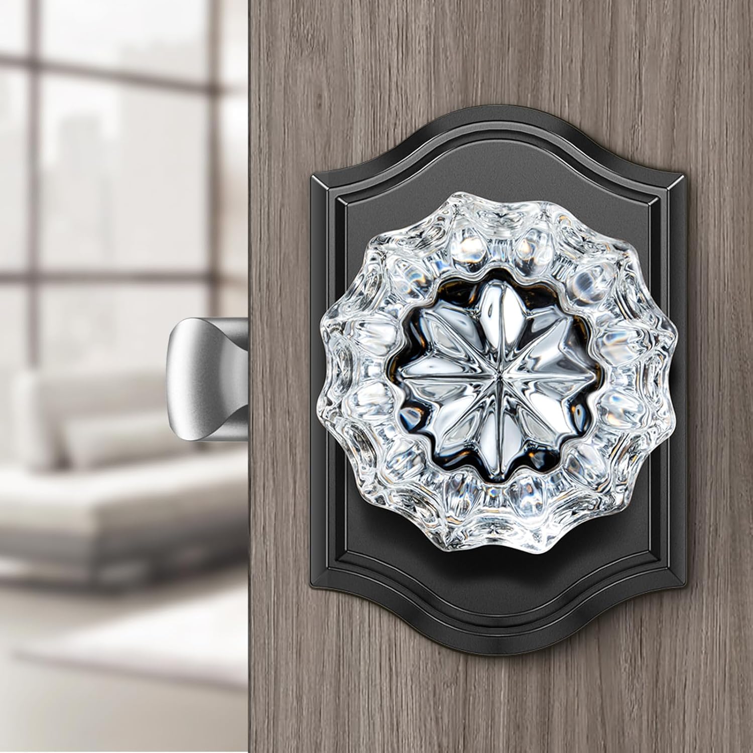 Crystal Door Knobs Interior