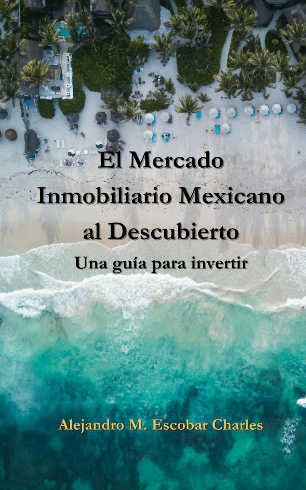 El Mercado Inmobiliario Mexicano al Descubierto : Una Guía para Invertir