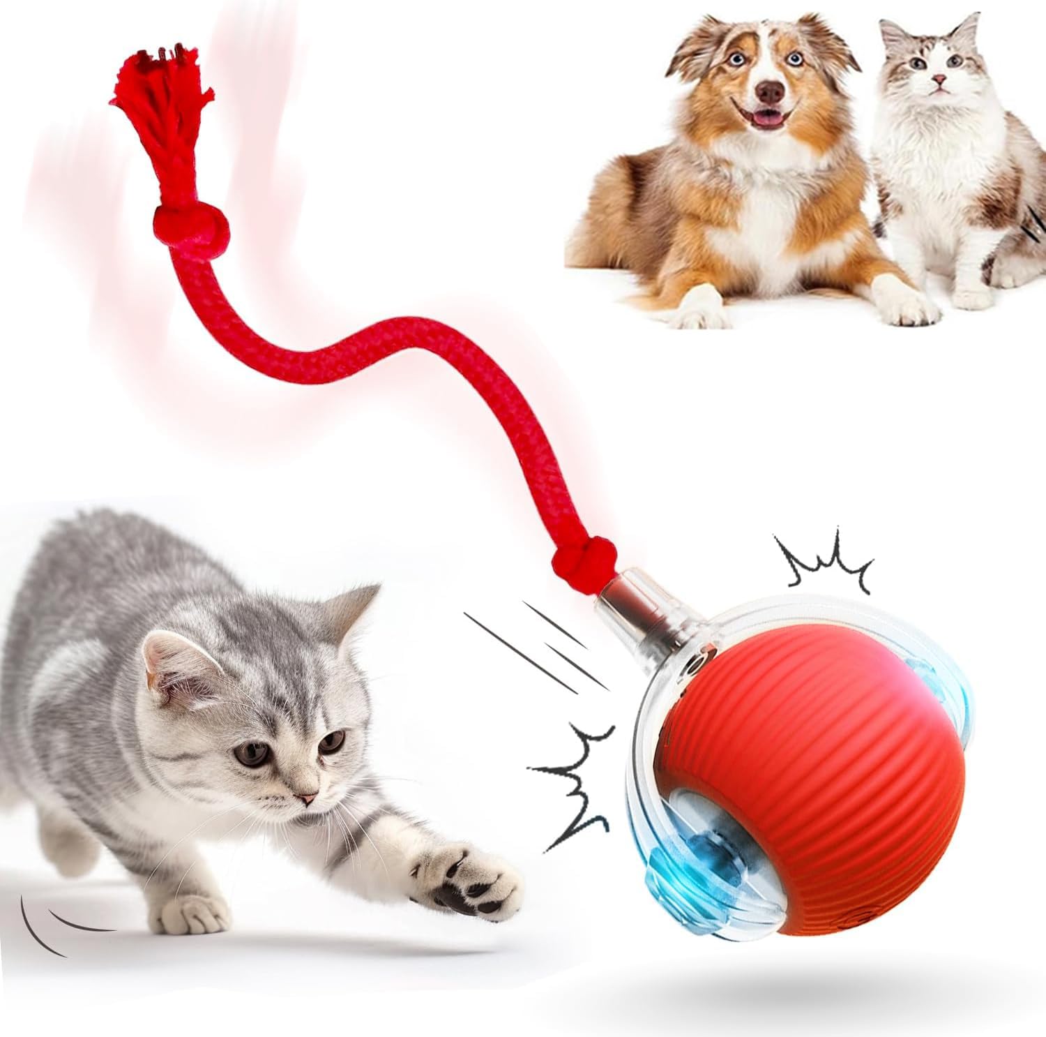 HOIDOKLY HOIDOKLY 2025 Pelota Automática, Juguete de Pelota Rodante Interactivo, Recargable, Activo, Gato, Perro, Mascota, Juguete interior, Materiales duraderos y seguros (Rojo)