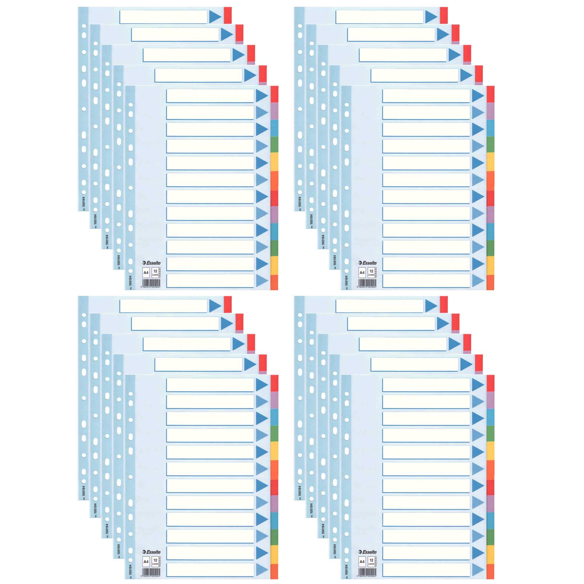 Leitz 100194 Kartonregister Standard Blanko, A4, 12 Blatt mit farbigen Taben, weiss (20er Pack, 12-teilig)